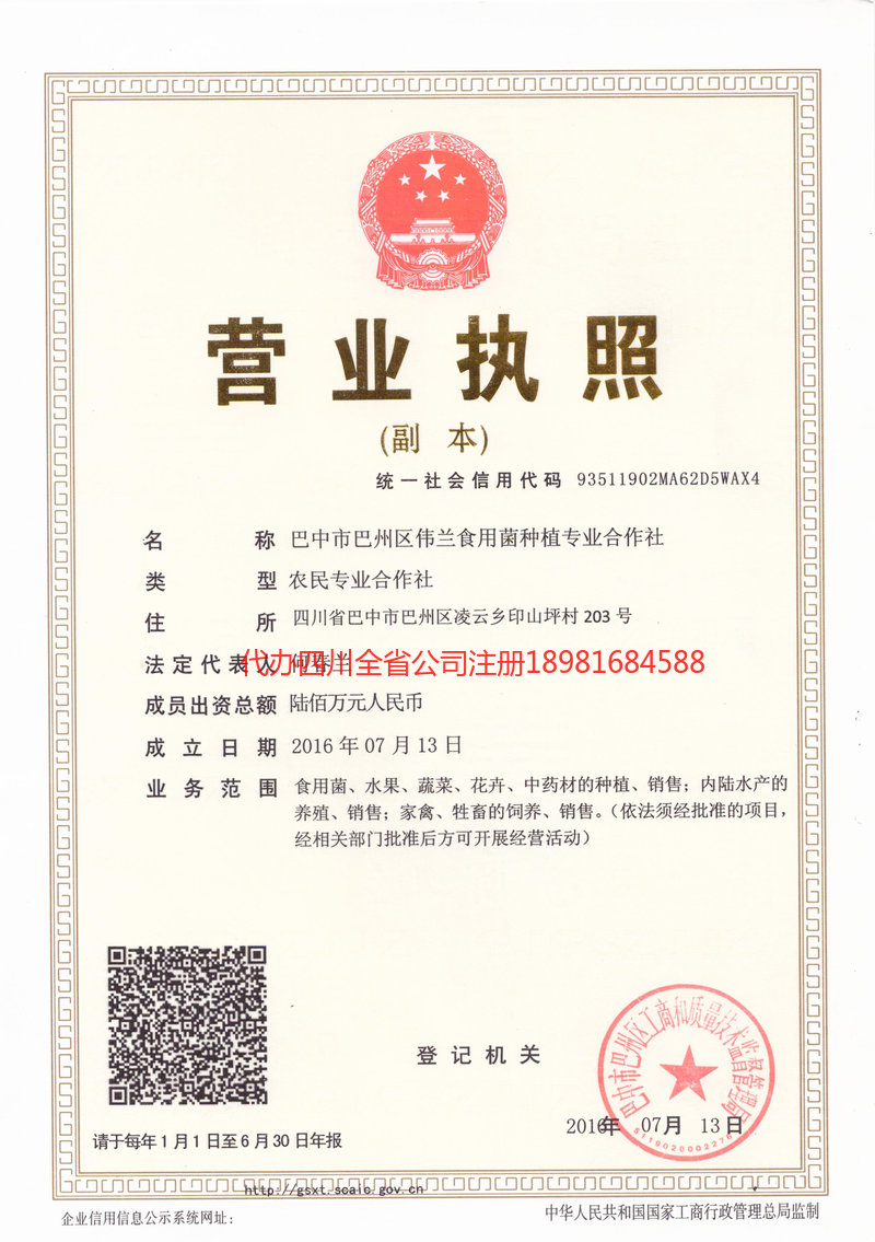 肇庆肇庆伟兰食用菌种植专业合作社